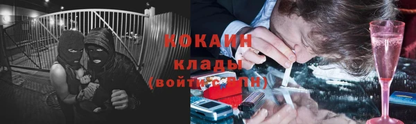 сатива Навашино