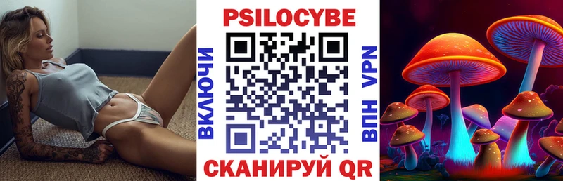 МЕГА   Николаевск-на-Амуре  Псилоцибиновые грибы Psilocybine cubensis 